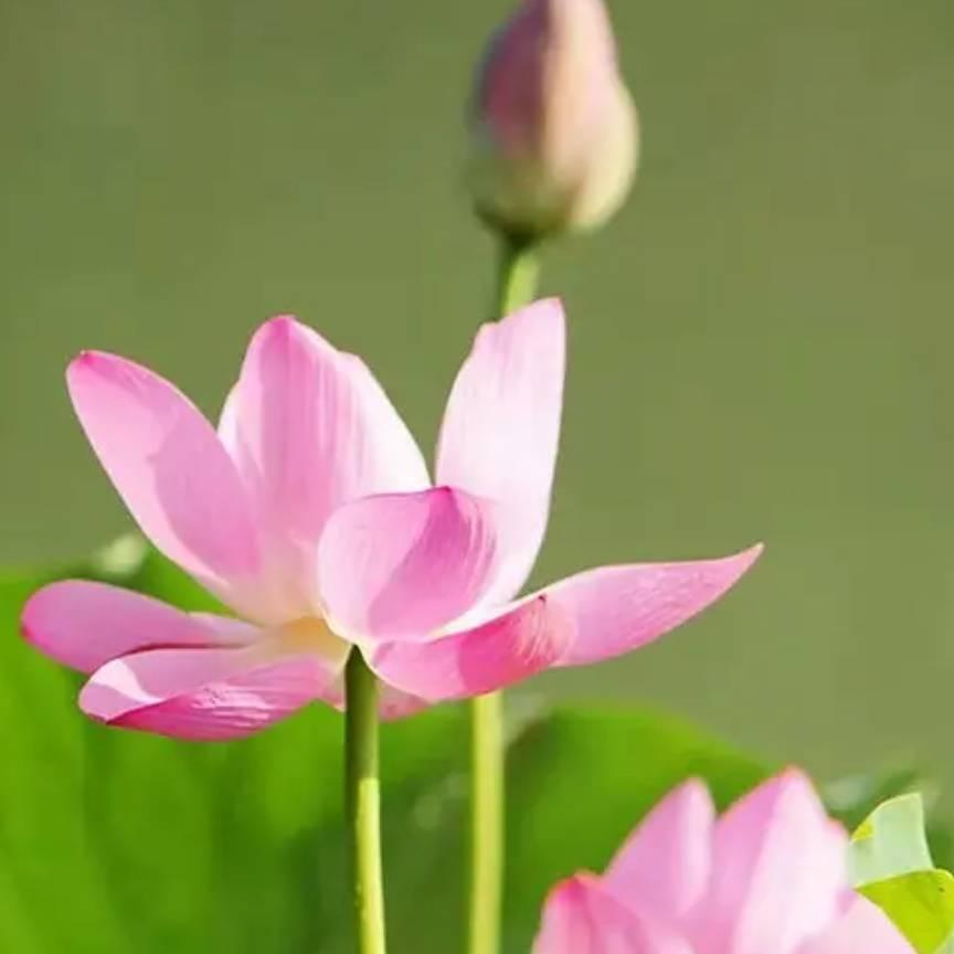 荣华富贵1314