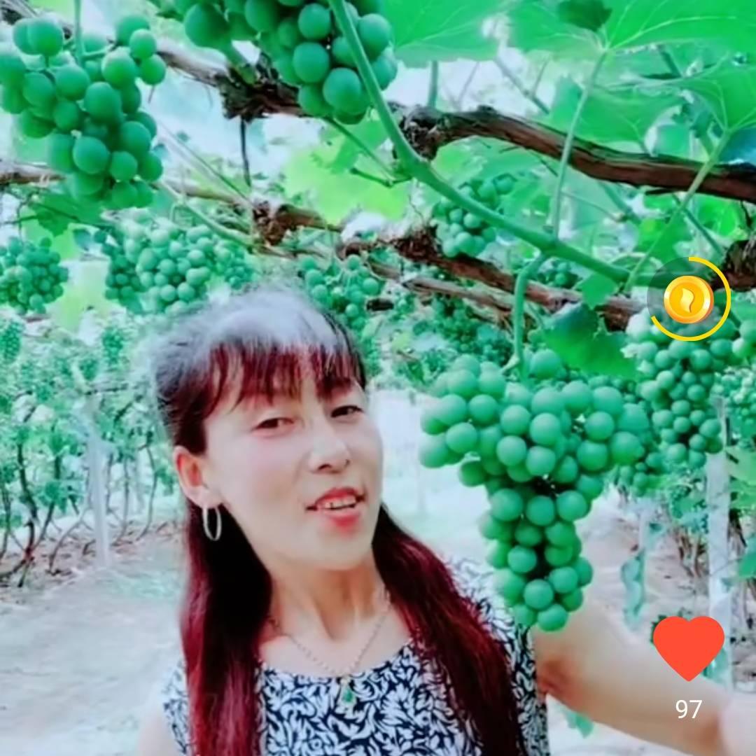 ❤秋天❤