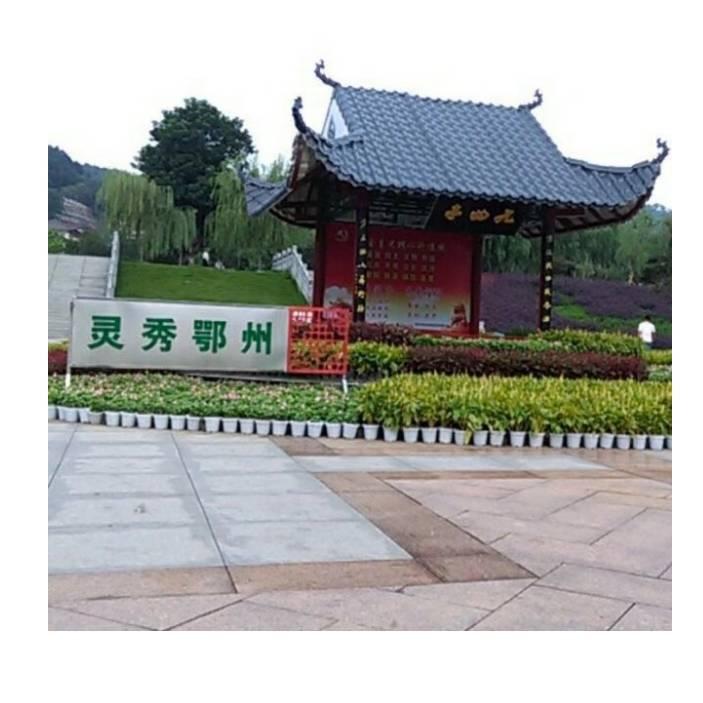 心灵之约-湖北-鄂州