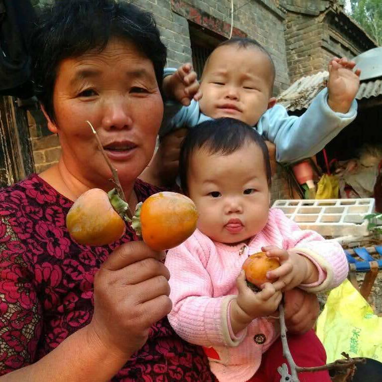 峟峟涵涵的奶奶