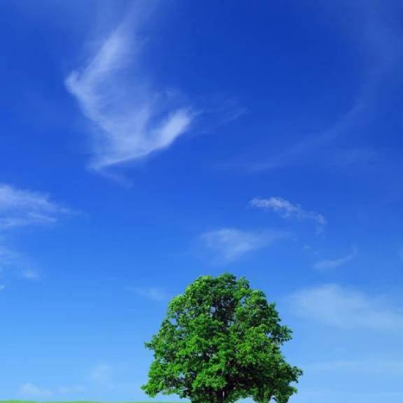 希望和明天@