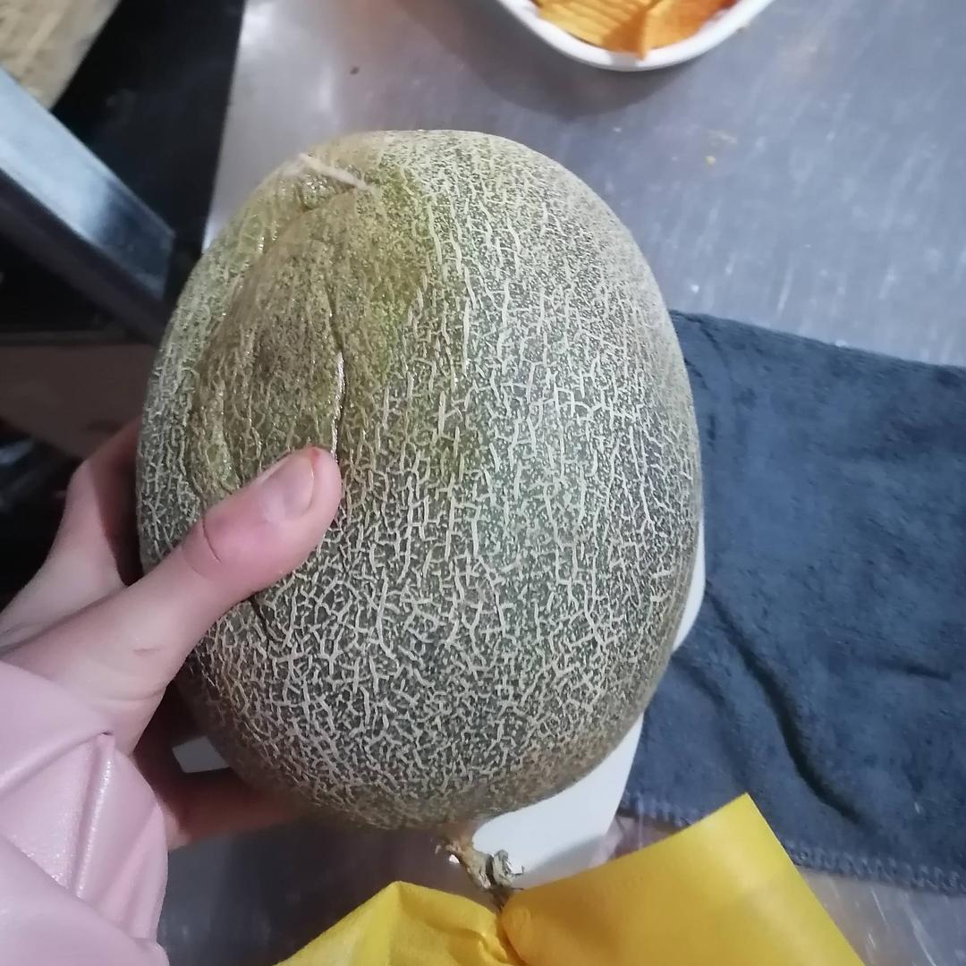 的歌词