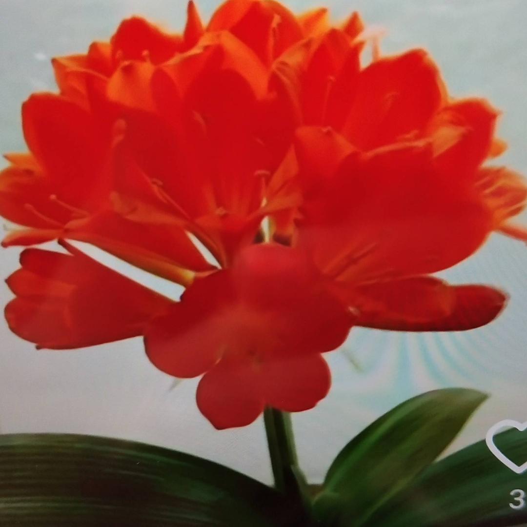 ☞荣荣