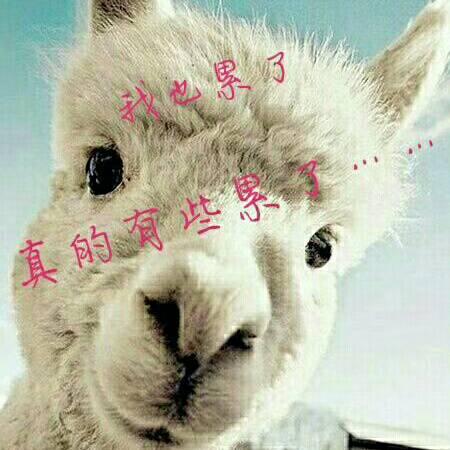 ꧁༺🚹燚㵘🚺༻꧂