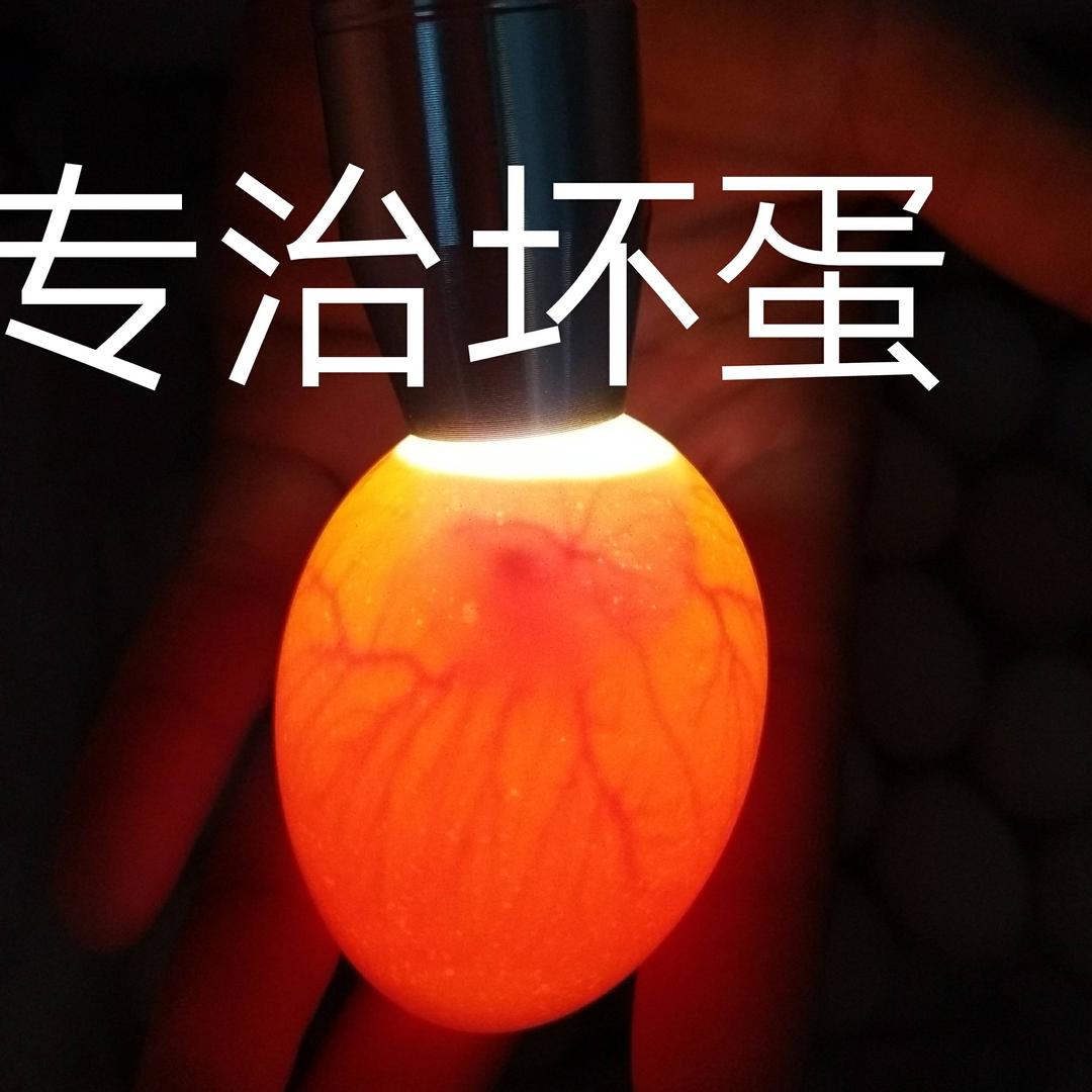晚风吹走了梦想