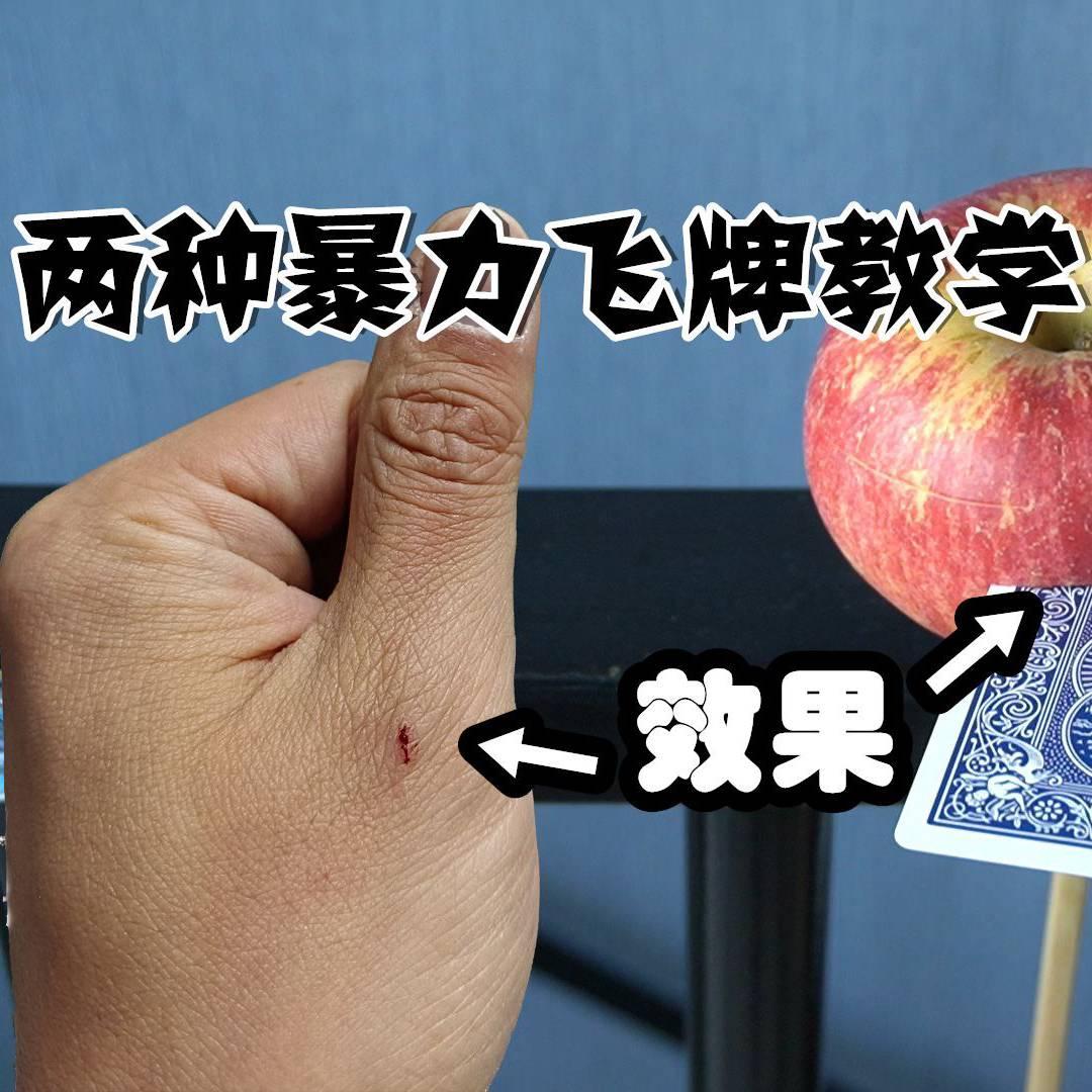 老马飞牌