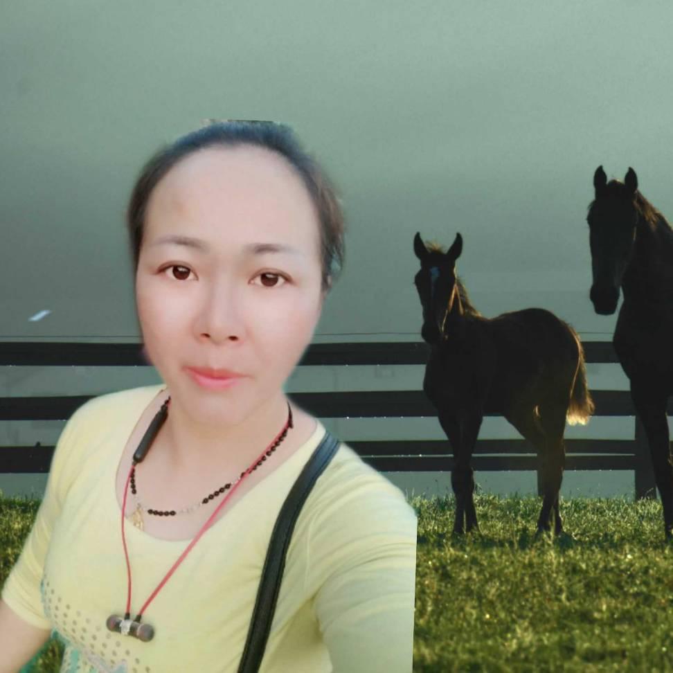 追梦23260167