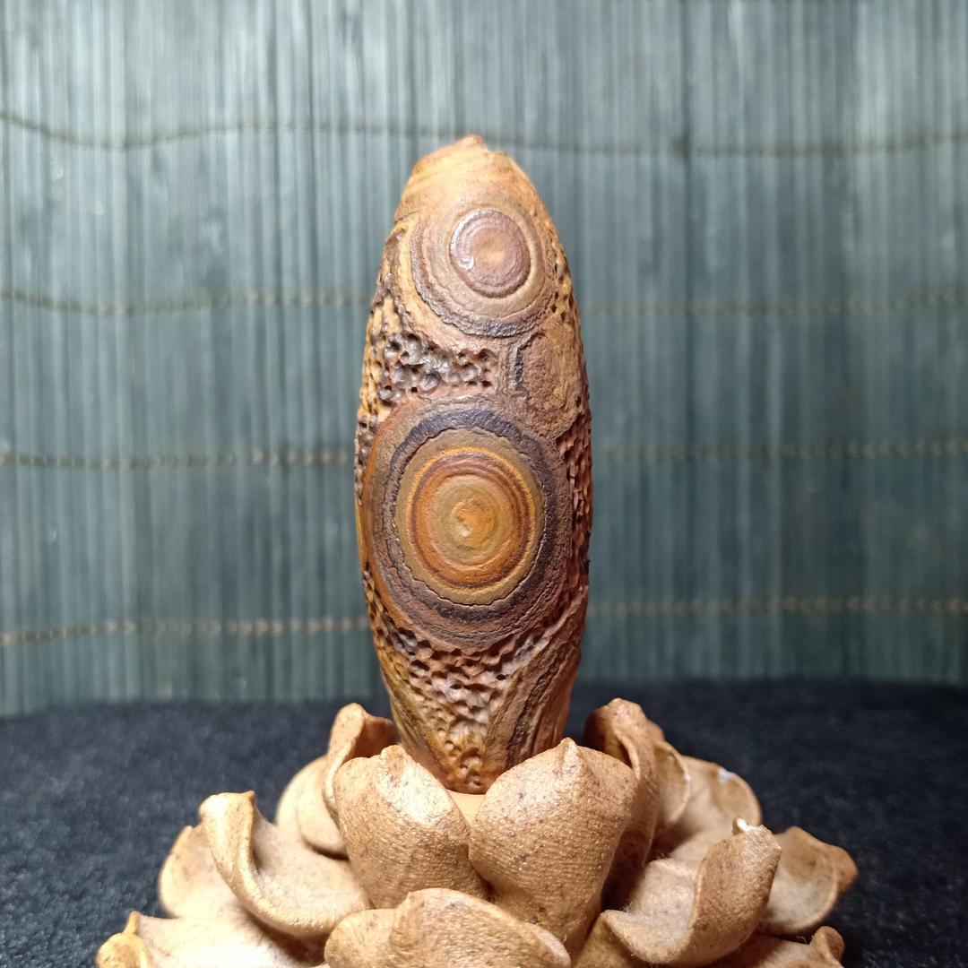 天眼蒙天珠