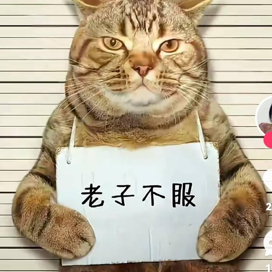 灿烂人生