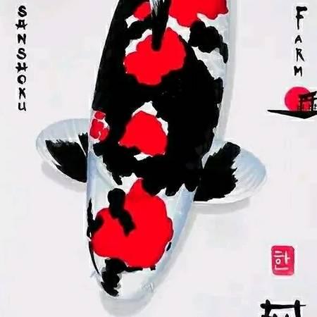 沙棘洱海