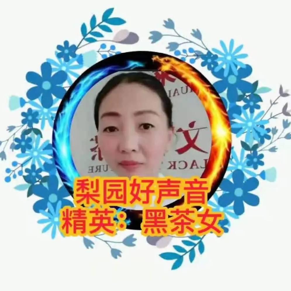 《茶妹》666