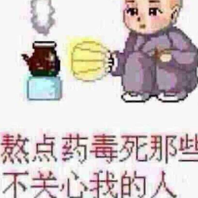 等风的树