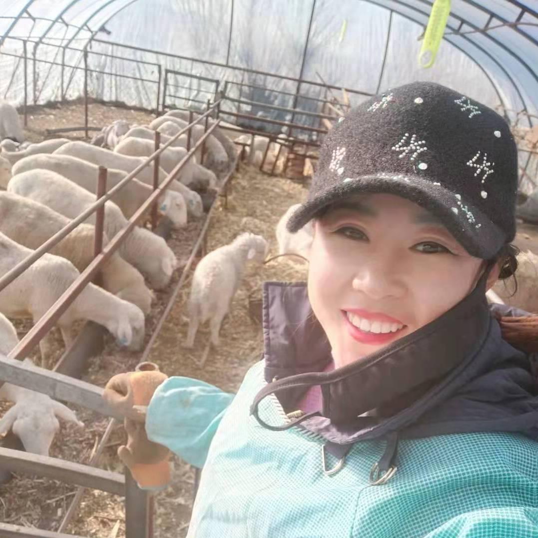 爱唱歌的小羊倌