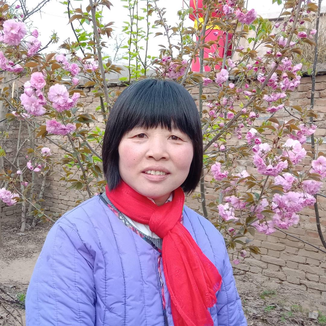 家，就是幸福