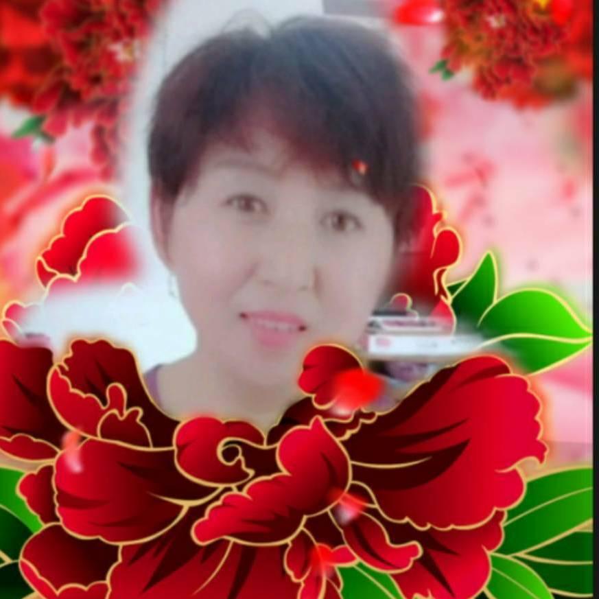 影子668