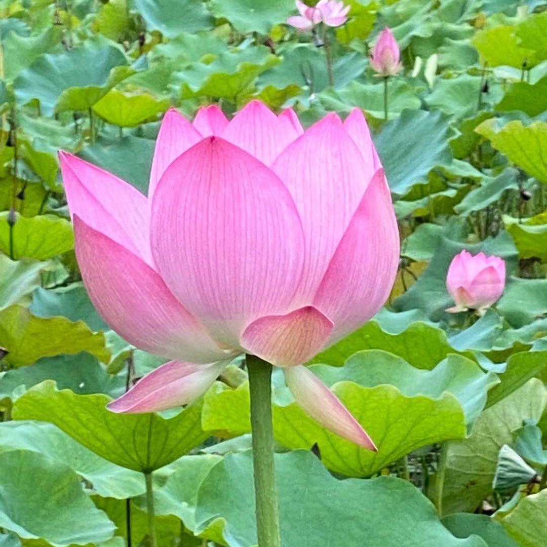 工地上的小女人