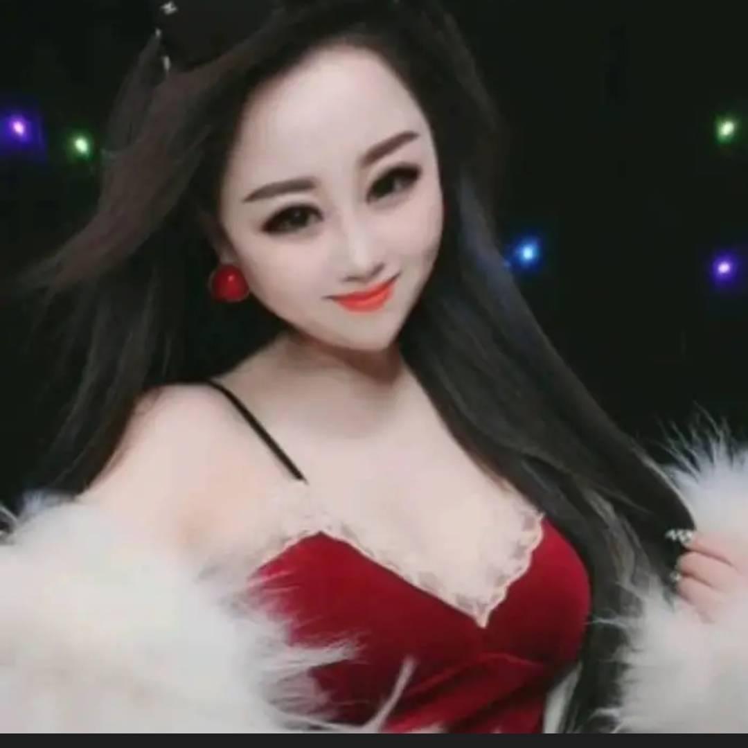 凤凰飞