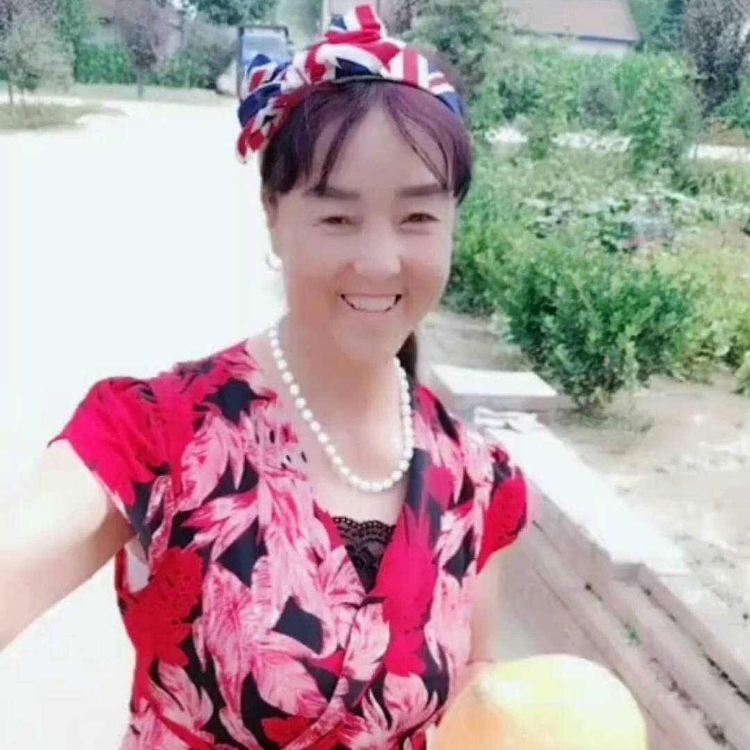 杨家寨丶八月菊