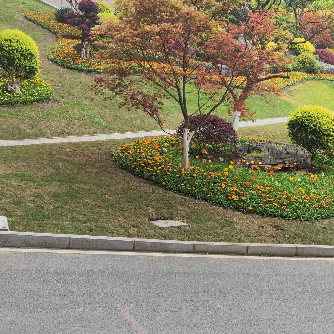 你若安好，便是晴天