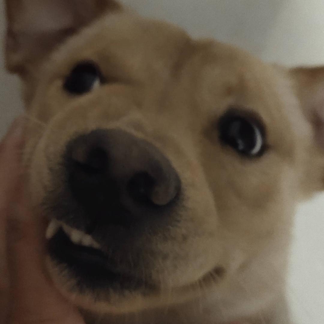 幻境