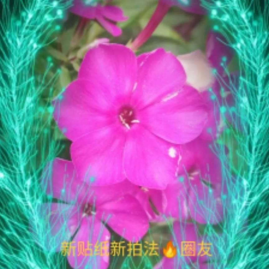 z善良心🔥贴纸达人