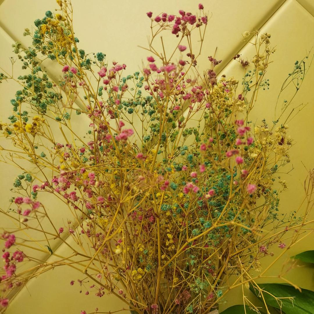 每日小播报🤗