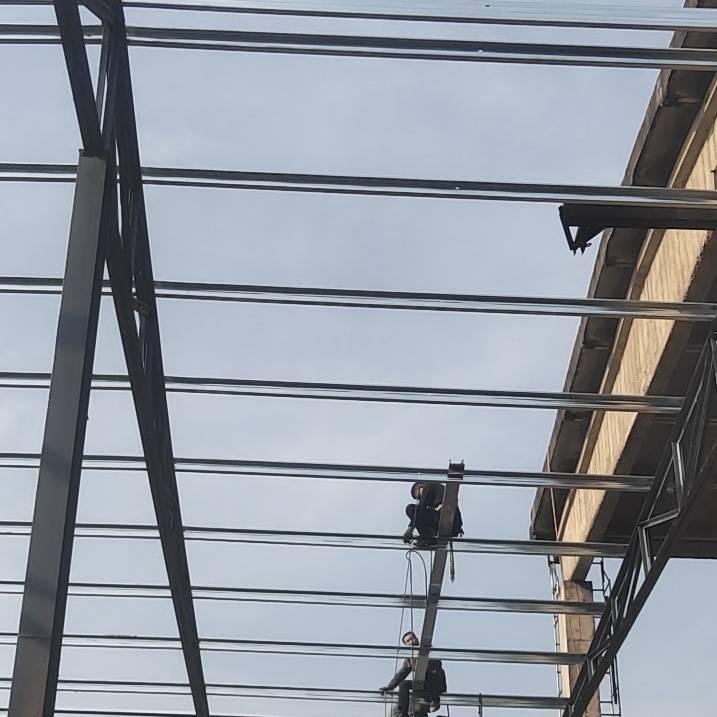 一生所爱