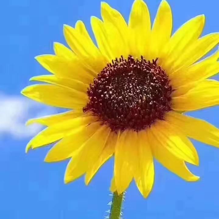 生活需要鼓励(涨粉直播间)