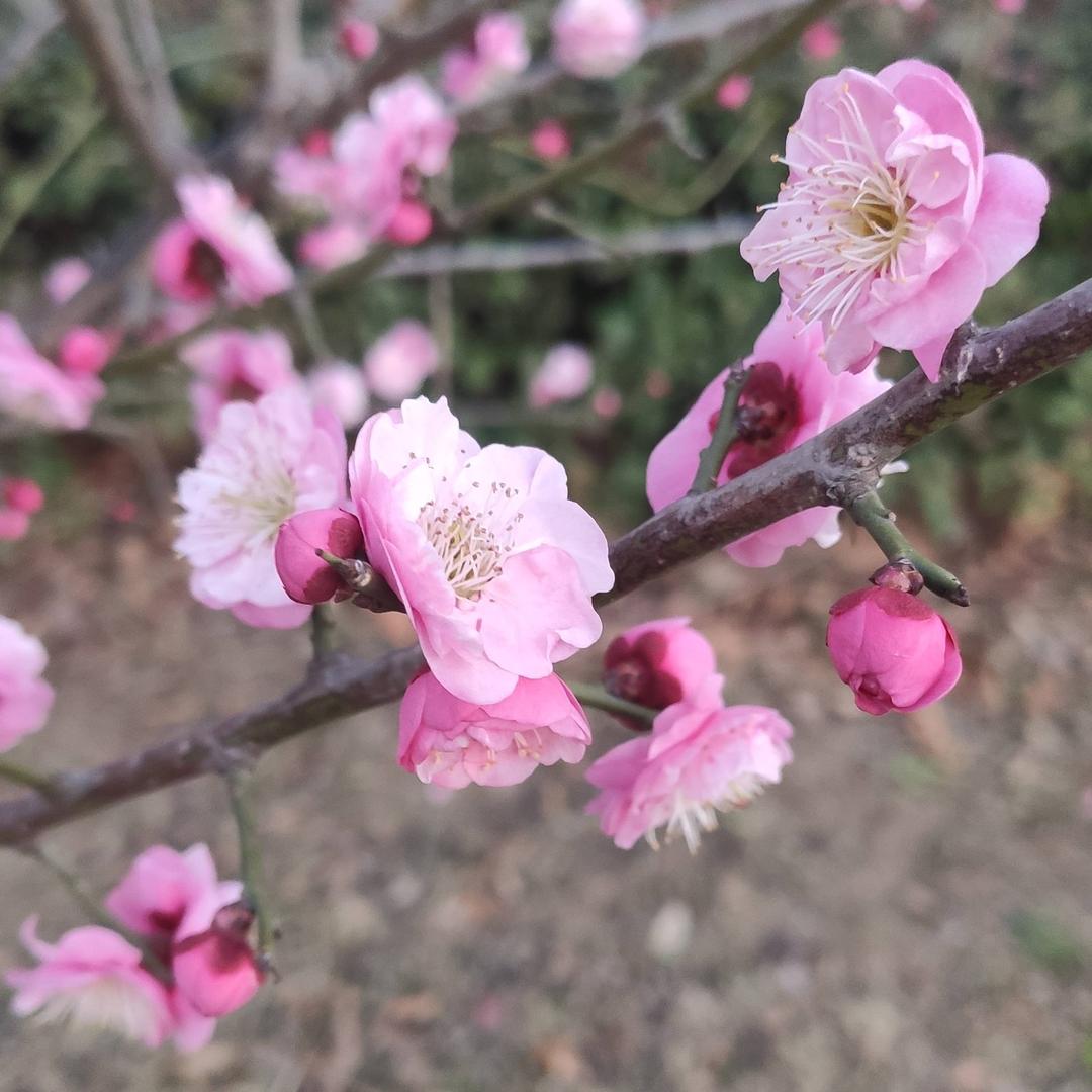 50后的老太太