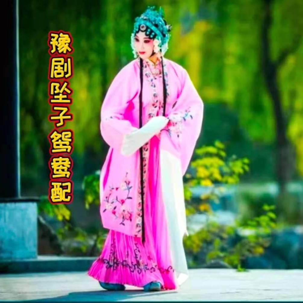 宣臻-河南豫剧