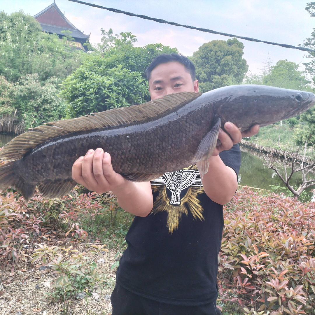 户外小四川