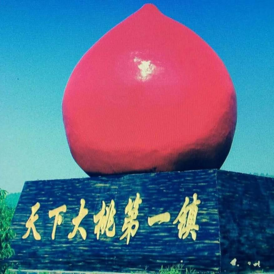 北京桃缘兴果品产销专业合作社