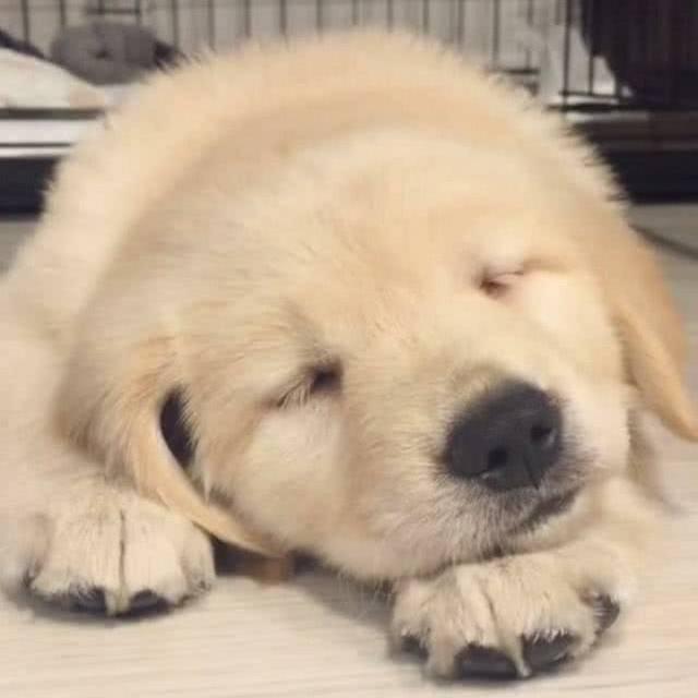 随风而走