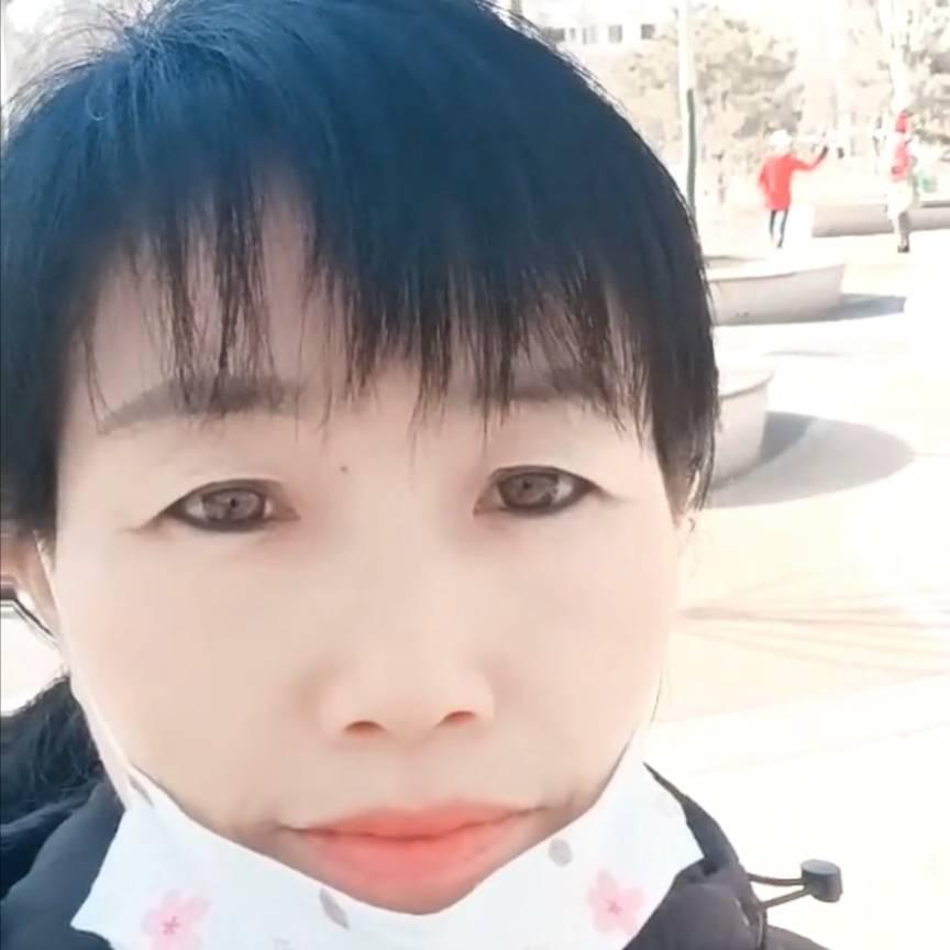 金玲4498