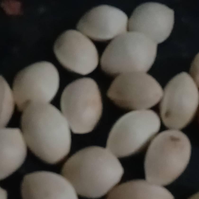 王根玉