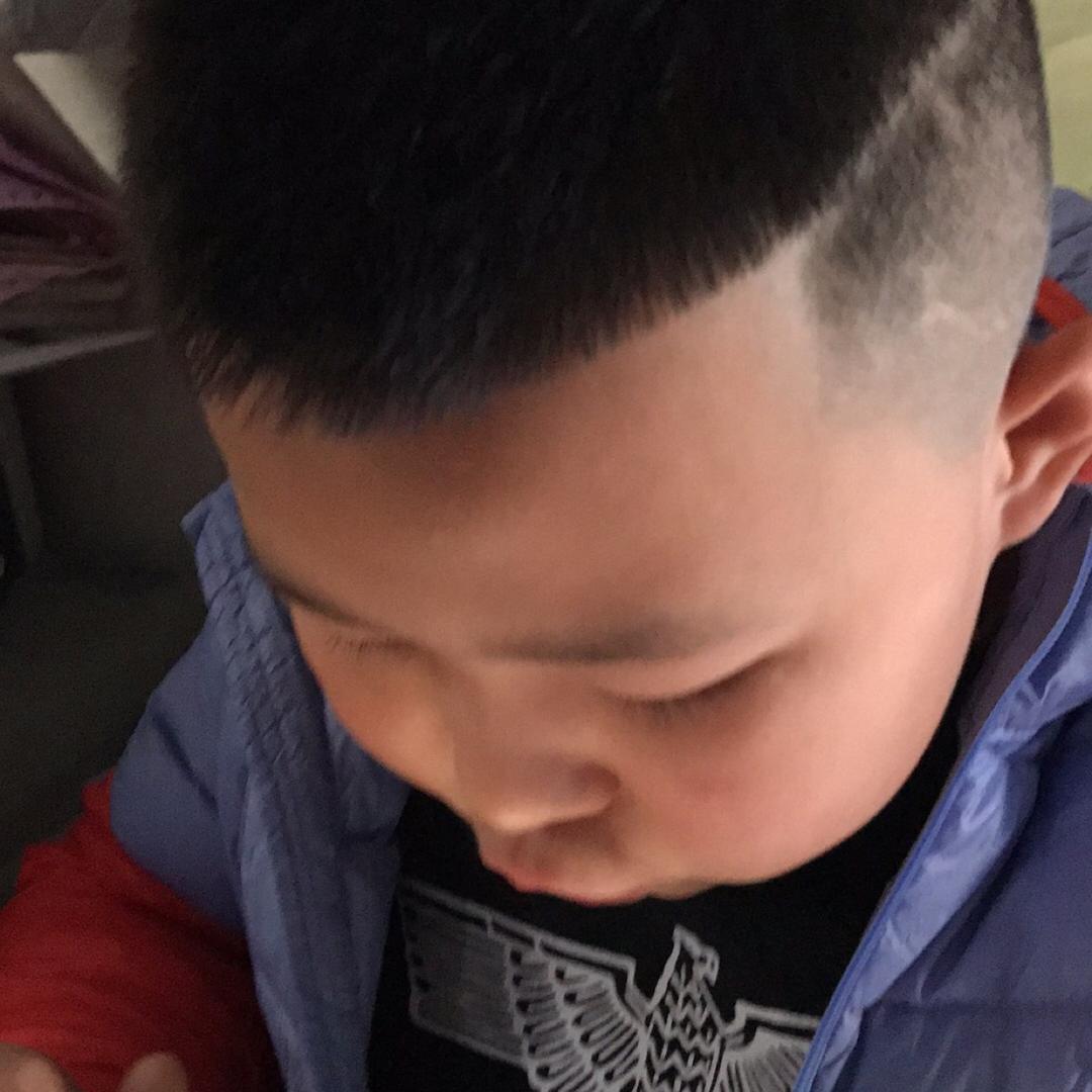冰晶晶的小胖墩