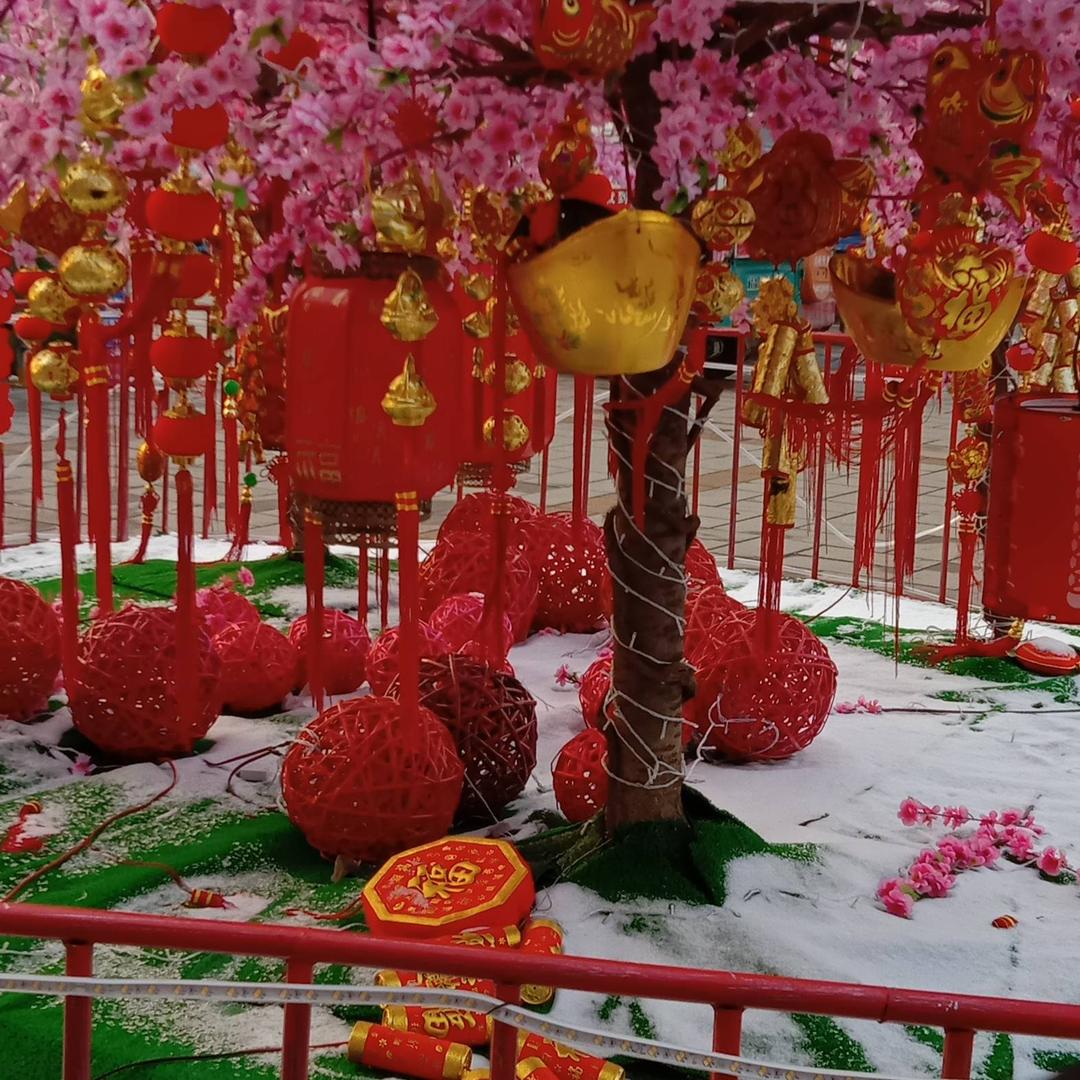 孩子！我的宝贝