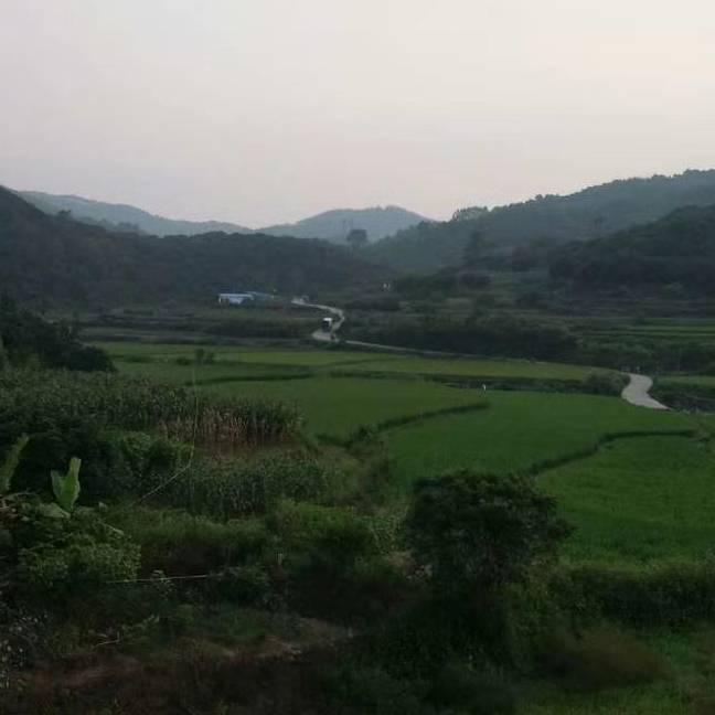 广种福田