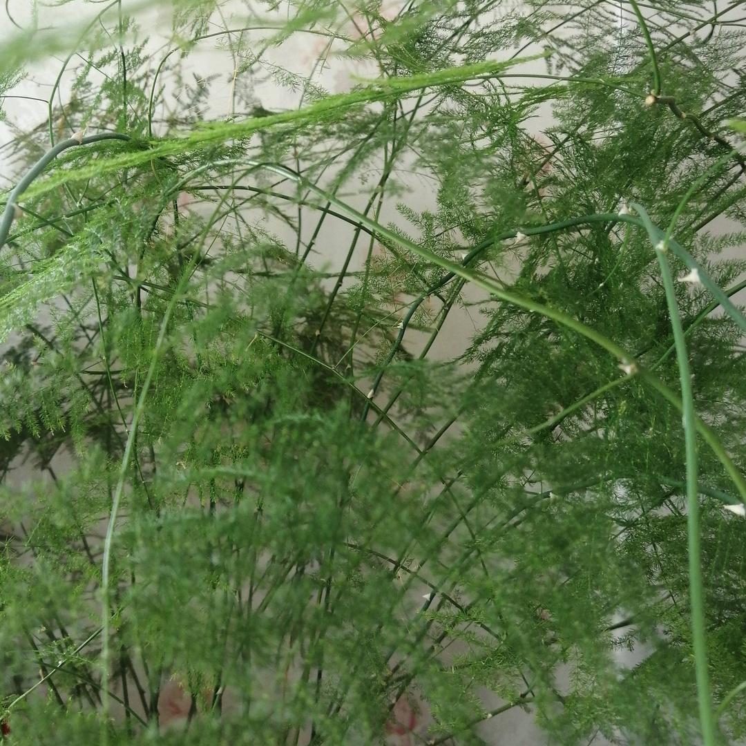 自由自在