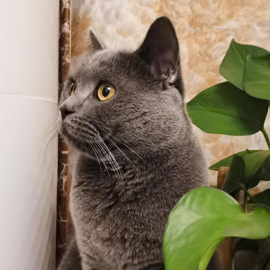 小闫