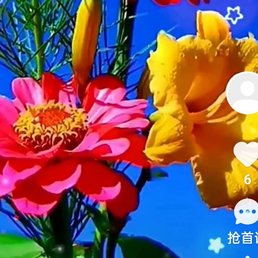 八方来财