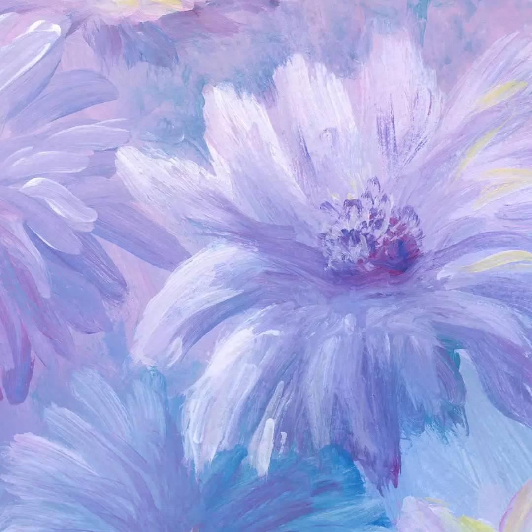 锦上添花