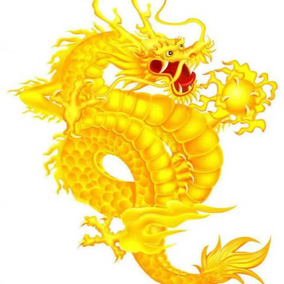 龍游天下666