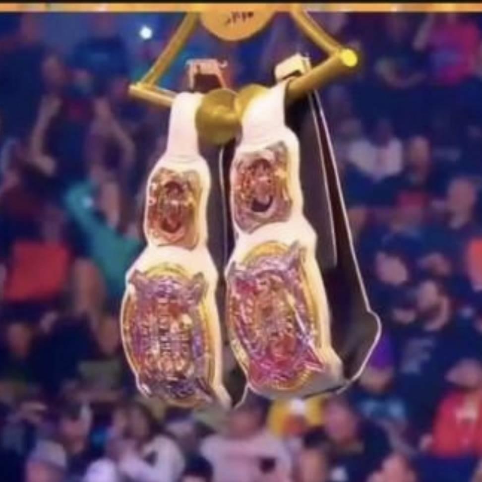 爱上WWE