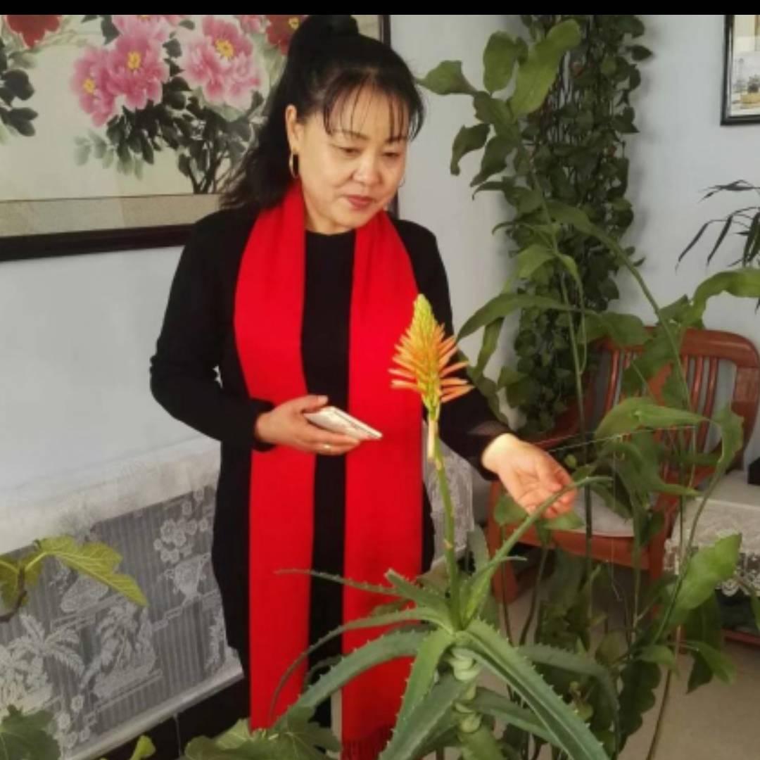 艳华