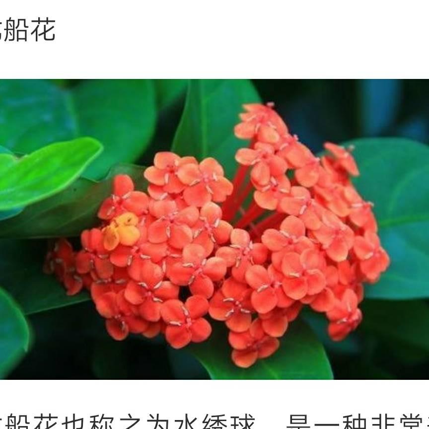 快乐人生①