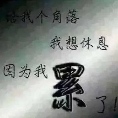 火山公民