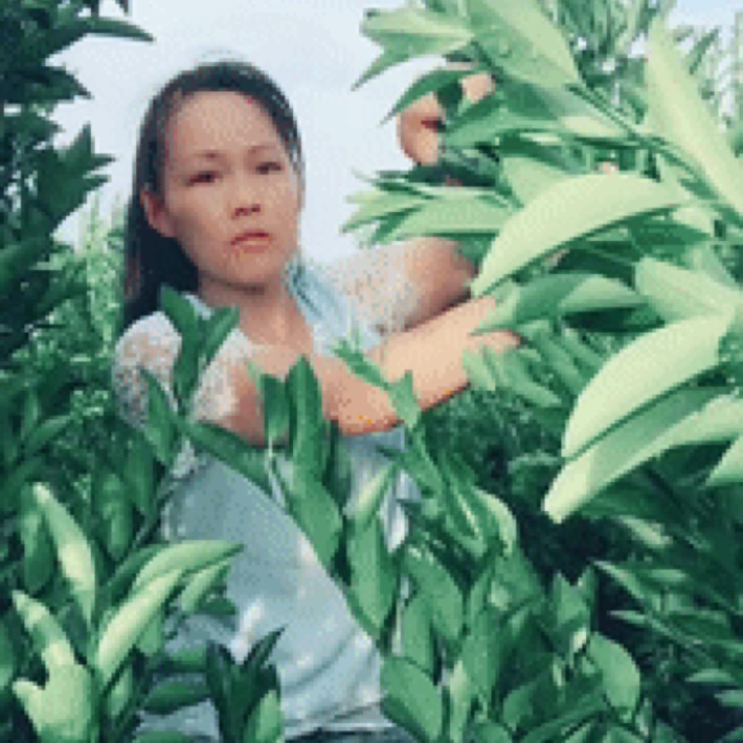 地摊水果妹小唐