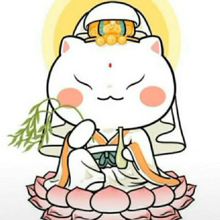 彩云之北