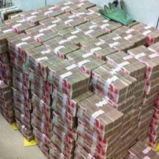 骑着野猪去旅游